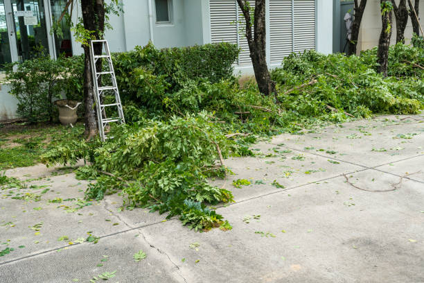 Best Hedge Trimming  in The Hills, NJ