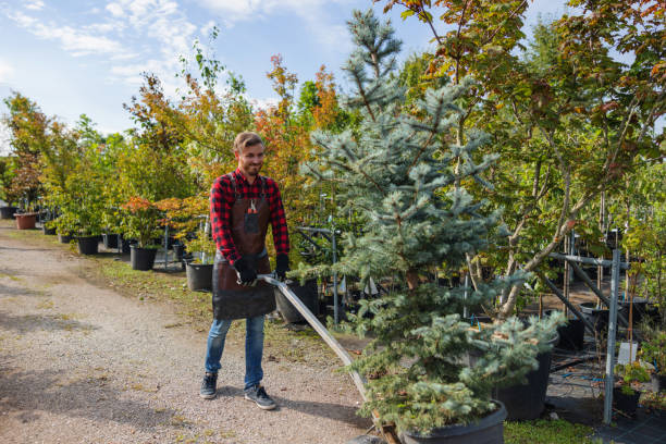 Best Weed Control  in The Hills, NJ